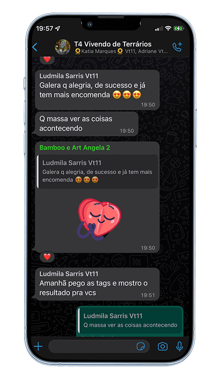 foto do site vivendo de terrario com o raoni toratti