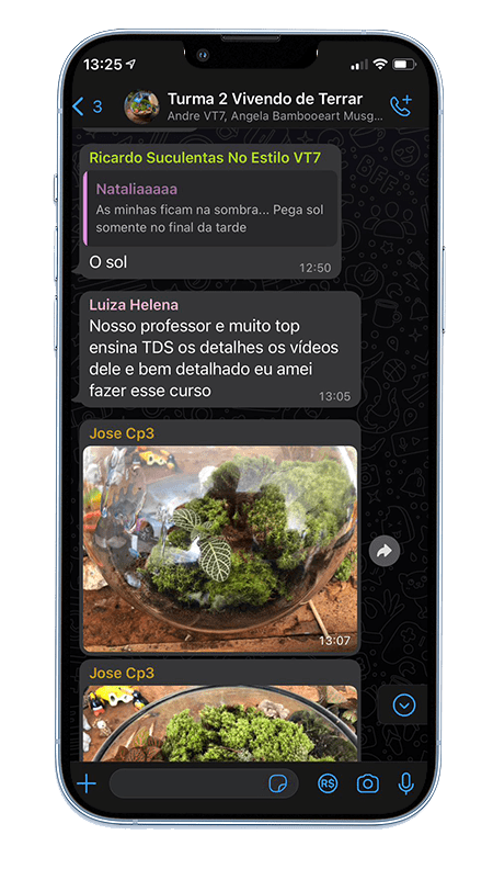 foto do site vivendo de terrario com o raoni toratti