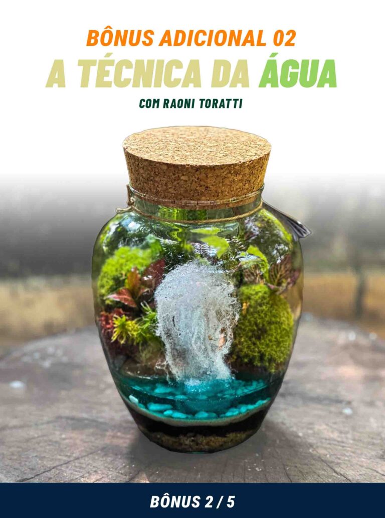 Bonus 2 A Tecnica da Agua